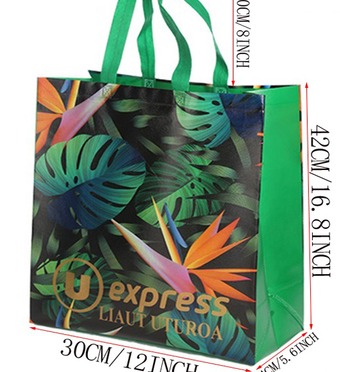 Non-Woven Carry Bag