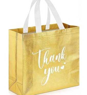 PP Non-Woven Gift Bag